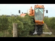 Grape Harvester 2 1230